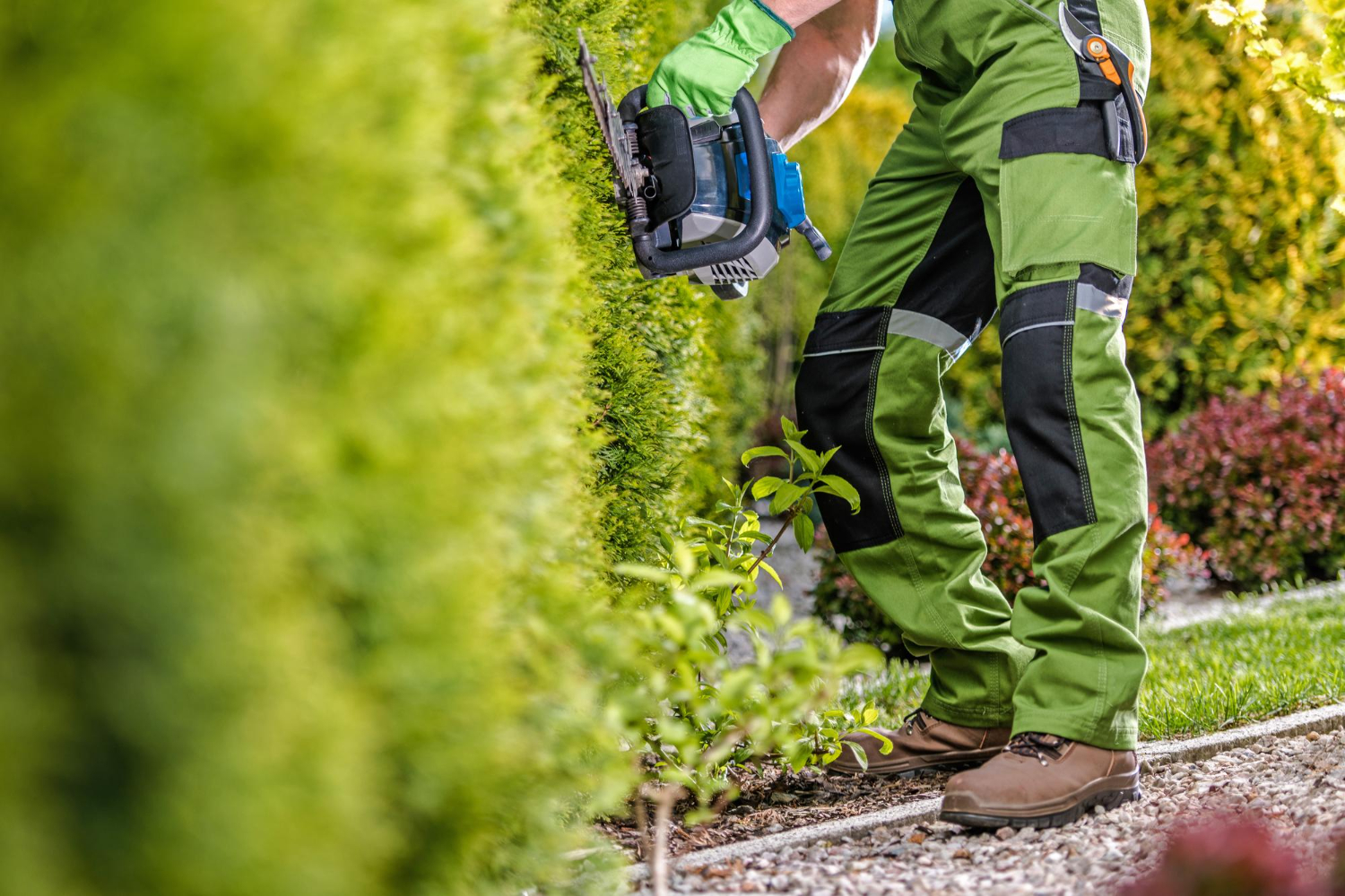 hedge trims