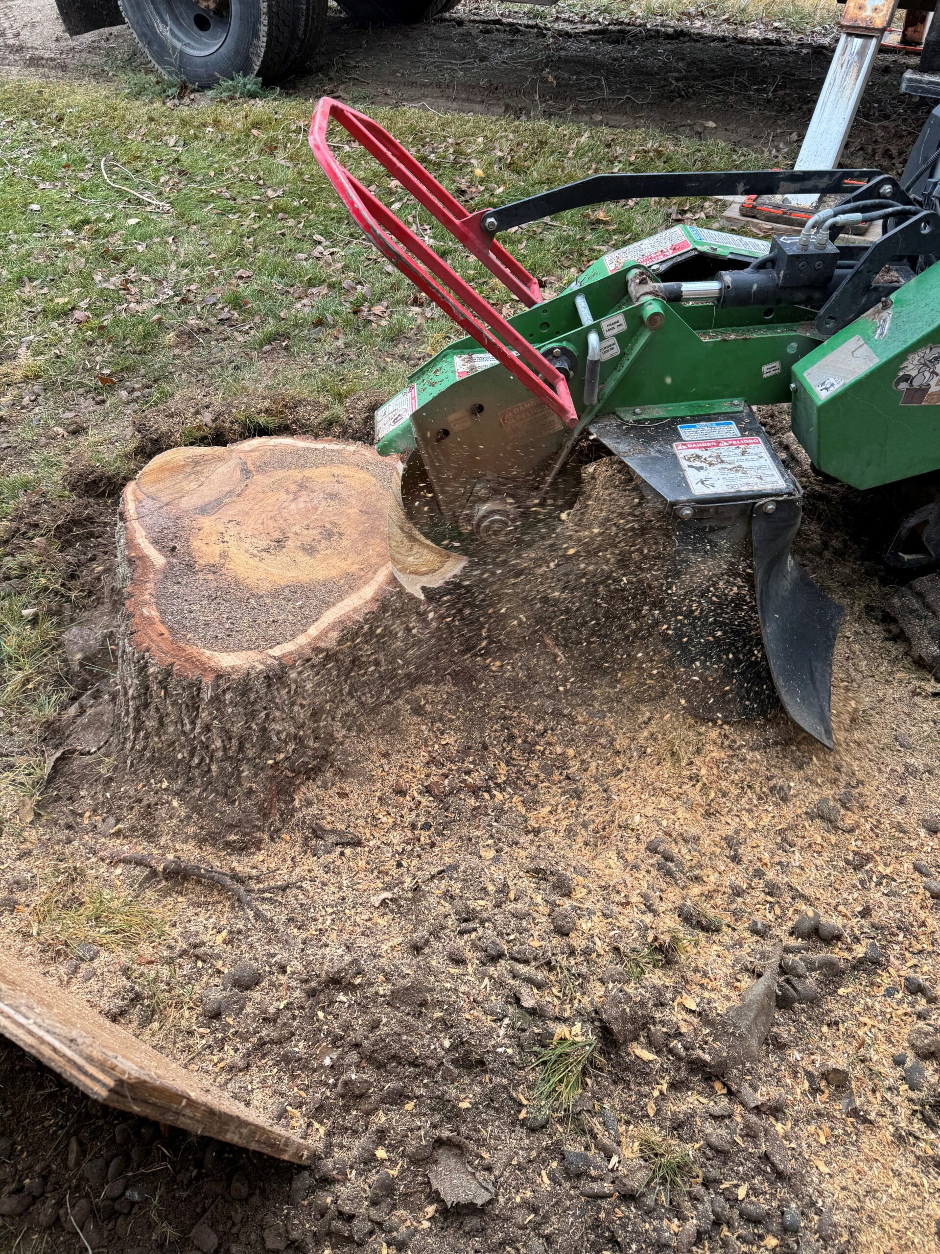 stump2